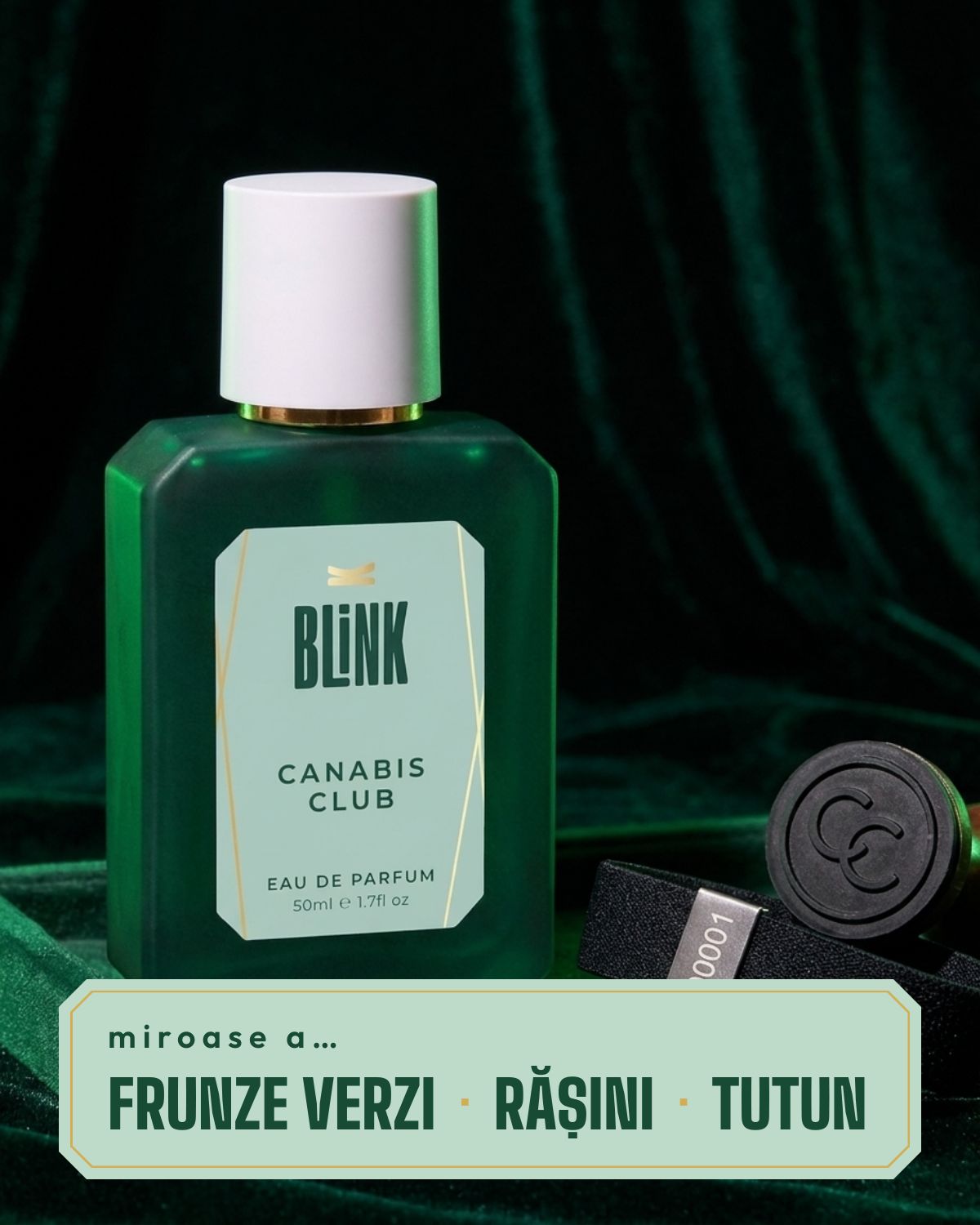 BLINK CANABIS CLUB: miroase a frunze verzi, rășini, tutun