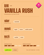 Notele parfumului BLINK VANILLA RUSH: vârf, inimă, bază